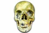 Realistic, Polished Yellow Turquoise Jasper Skull - Magnetic #382137-1